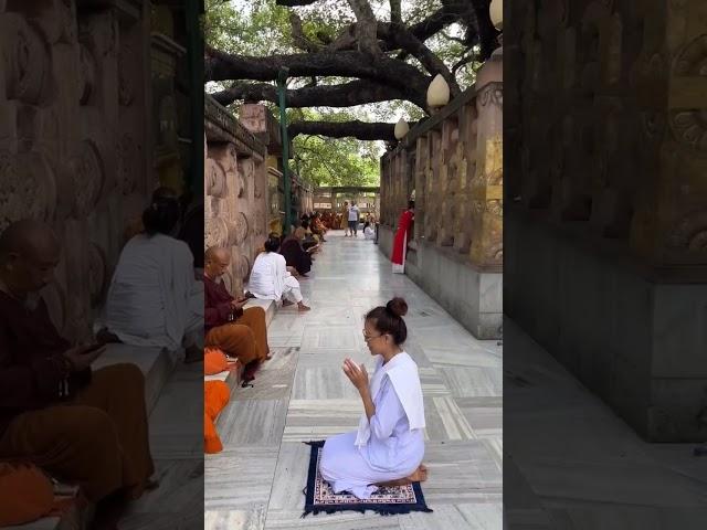 ️@overbafer1 #cox #bodhgaya #public #6feetbuddhastatue