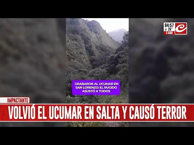 El Ucumar volvió a Salta y aterrorizó a los habitantes de una comunidad