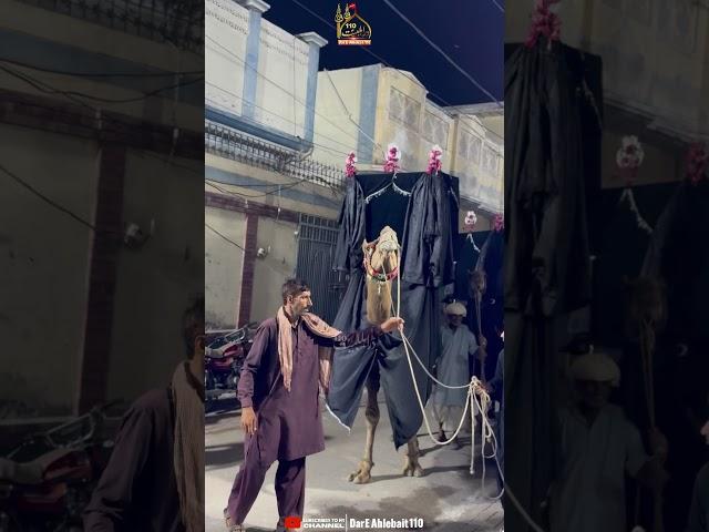 Mausafiran E Musibat | Baramdagi Mehmal #nadeemsarwar #newnoha2024