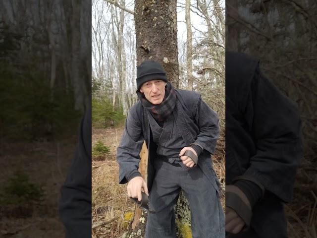 Let's climb a tree with shuko; in theory, let's climb a tree. Let me know how to make this work?