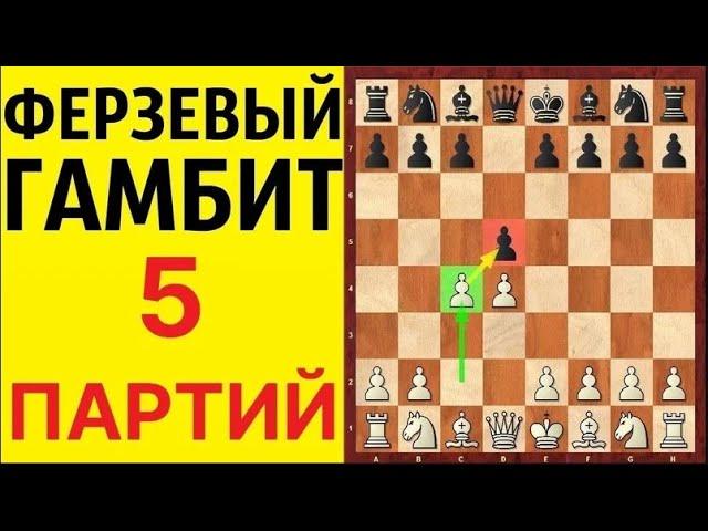 Шахматы. ФЕРЗЕВЫЙ ГАМБИТ. 5 ШИКАРНЫХ ПАРТИЙ. Школа шахмат d4-d5.