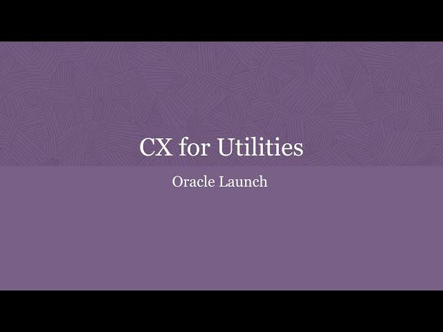 Oracle Utilities Launch demo: complete product life cycle management