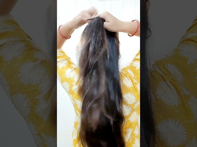 Ponytail Hairstyle Hack #hairstyle #style #hack #tutorial #youtubeshorts