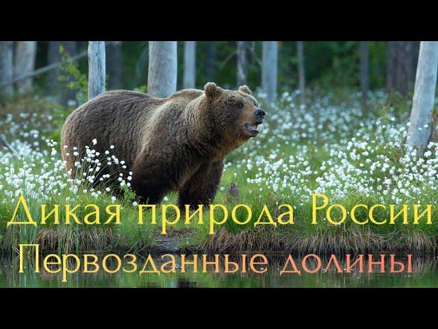 Дикая природа России.Первозданные долины.