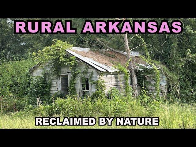 Driving RURAL ARKANSAS: The Crazy Things I Saw