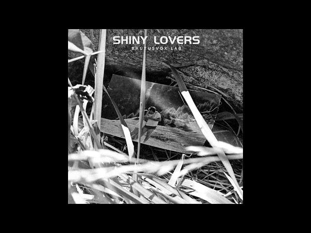 [#FREE] N.2  #70s Type #beat  (Shiny Lovers) - BrutusVox lab. 2024 [#INSTRUMENTAL] #hifi 70 bpm