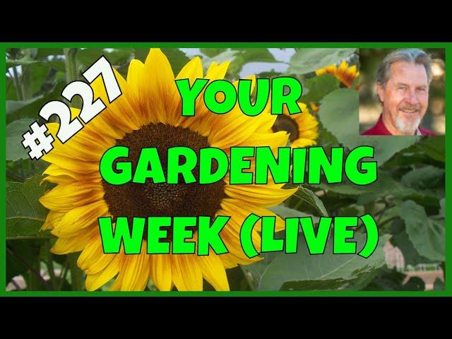 Saving Garden Seeds (Q&A)