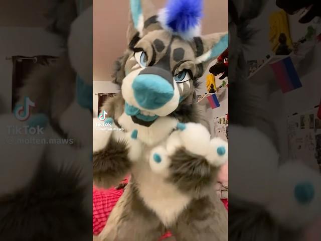 :3 #furry #fursuit #cosplay #trending #viral #shorts
