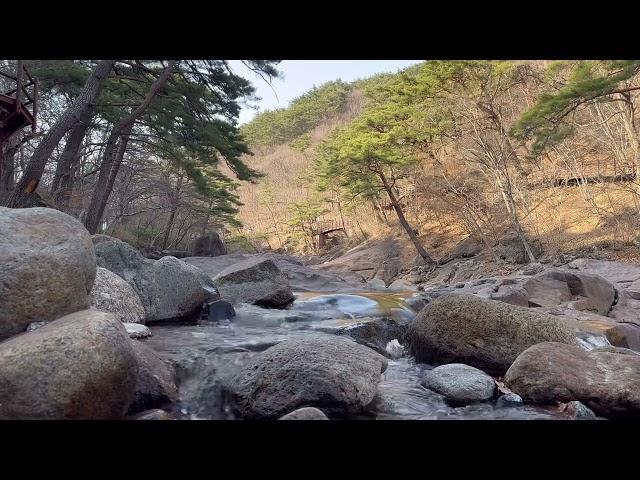 지리산 "계곡 물소리 ASMR" 딱!30분ㅣ명상ㅣ집중ㅣ잠들기전ㅣ심신안정ㅣ멍때리기 너무 좋은 소리,얕게 흐르는 계곡 물 소리