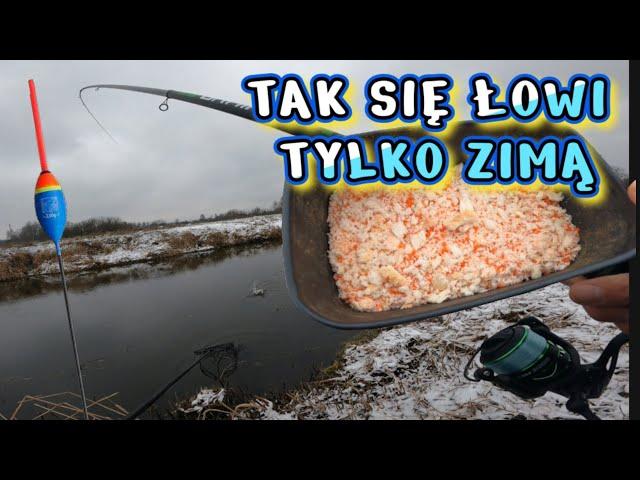 PIĘKNE ŁOWIENIE ZIMĄ NA SPŁAWIK. Niesamowity hol ryb