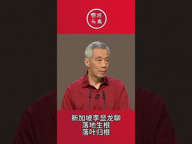 狮城头条：新加坡李显龙聊落地生根以及落叶归根#狮城头条