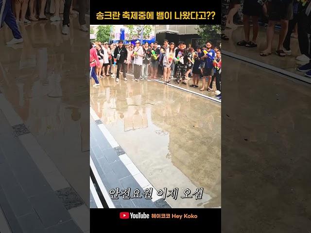 태국 송끄란 축제 도중 뱀이 나타났다고? - [태국]  #shorts