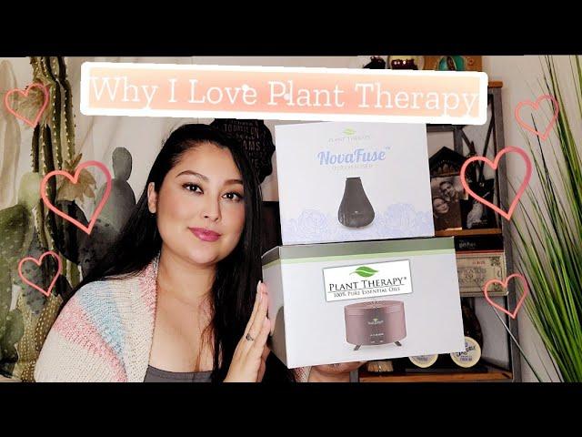 Val's Vlogs | Plant Therapy Review • why i love my diffusers, essential oils & Free Shipping