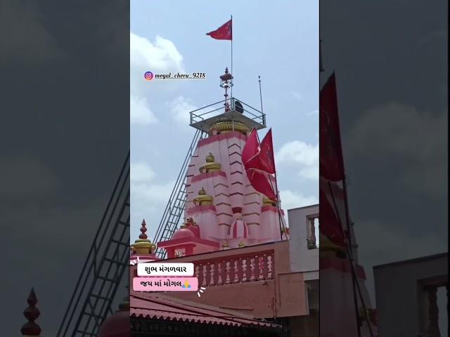 આઇ મા મોગલ   #mogaldham_bhguda #mogalkrupa #mogal #pareshdangadhvi #viralvideos #mahuva #bhuj #mogal