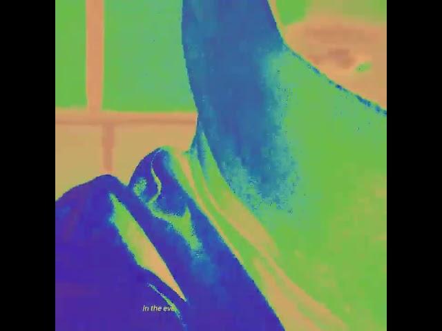 Mikey Moo - "The Motions" (Music Visualizer)
