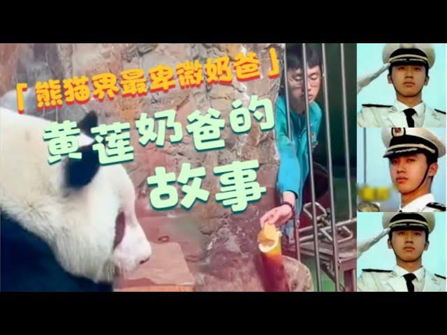 熊猫界最卑微的奶爸，被北动熊猫拿捏的饲养员，黄莲奶爸的故事：曾经在仪仗队举旗，如今在熊猫馆举笋