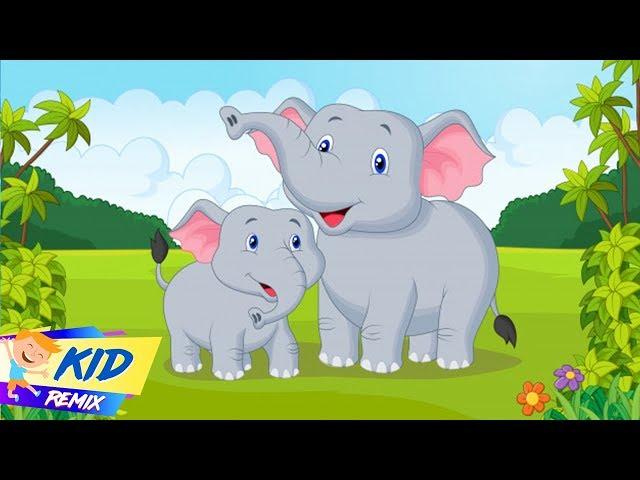 Chú Voi Con Ở Bản Đôn (Elephant) - Chú Ếch Con (Frog) - Nhạc Thiếu Nhi Vui Nhộn Sôi Động