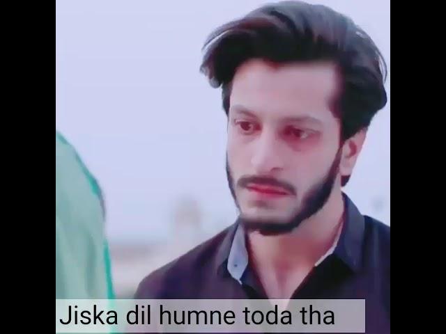 Malik Dani
