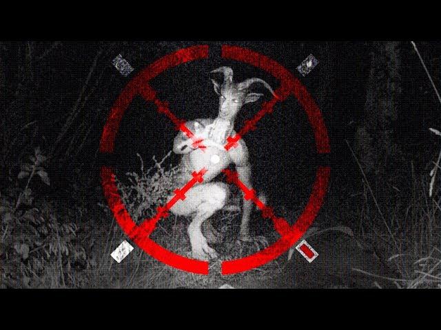 HUNTING the GOATMAN