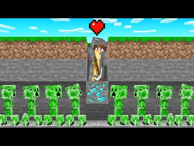 Minecraft 1 HEART ONLY Challenge!