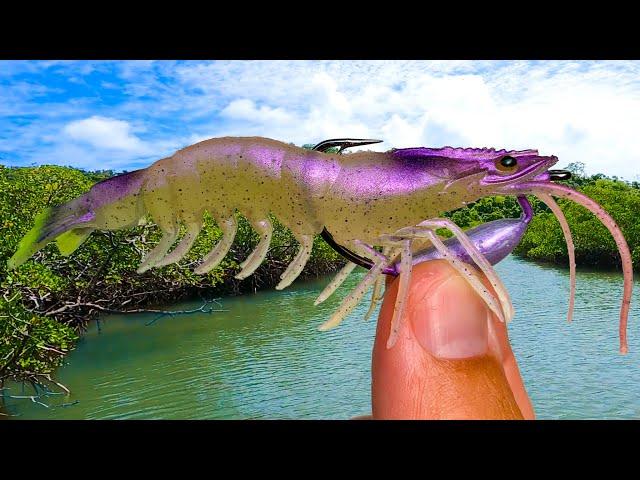 I Tied This Lure on and the Fish Couldn't Resist...