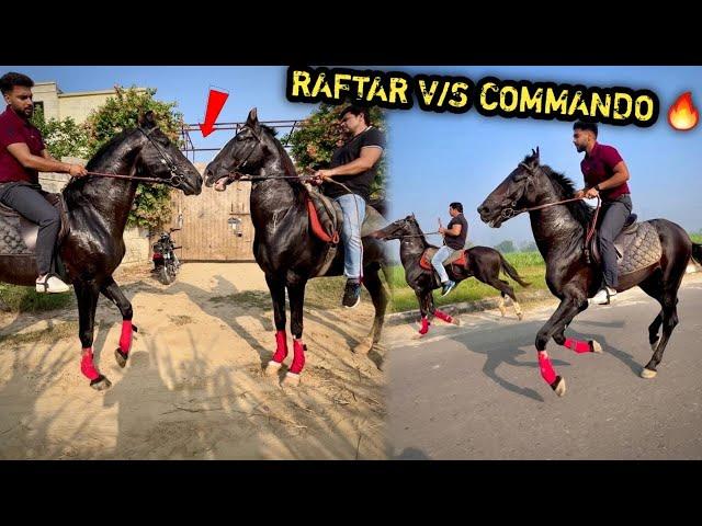 RAFTAR Or COMMANDO Ki Race Krwa Kr Dosti Krwa Di ( Itna Gussa ) 