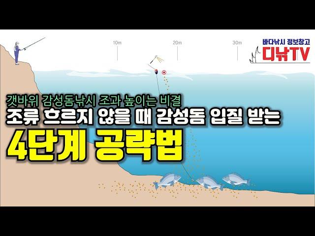 감성돔낚시, 조류 흐르지 않을 때 입질 받는 4단계 공략법 [디낚TV 갯바위 감성돔낚시 조과 높이는 비결]