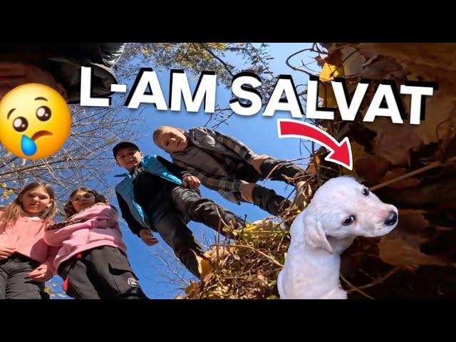 AM SALVAT de la MOARTE un CĂȚELUȘ Daily Vlog pentru copii Making of Vacanța mea