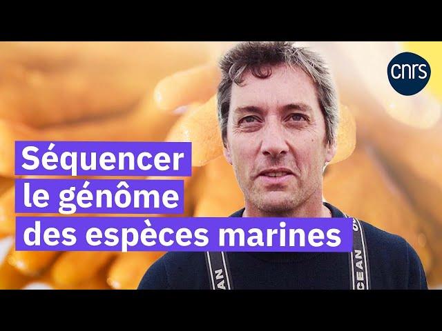 Les pêcheurs d'ADN | Reportage CNRS