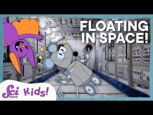Why Do Things Float in Space? | How We Study Space | SciShow Kids
