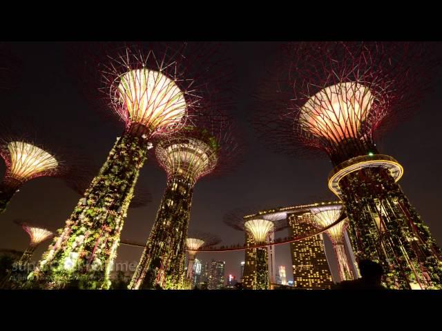 Time Lapse -  Gardens by the Bay, Super Trees | SUPERADRIANME.com