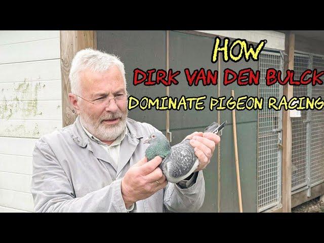 Dirk Van Den Bulck: The Untold Story Behind the World’s Most Legendary Racing Pigeons