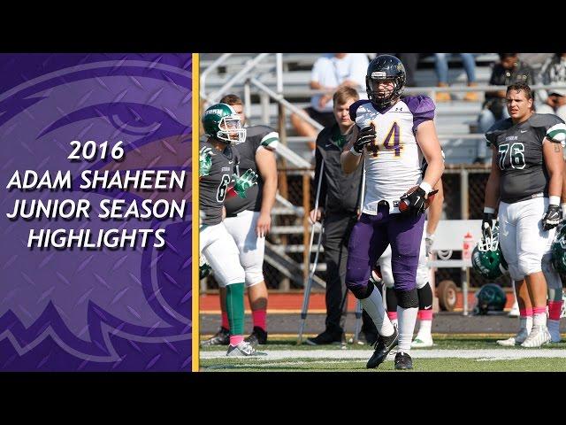 NFL Draft Prospect TE Adam Shaheen Junior Season Highlights - 2016 Ashland University Football