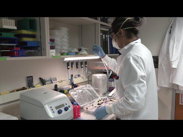 Occupational Video - Biotechnologist