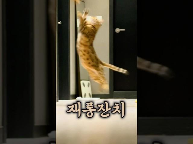 올타임레전드
