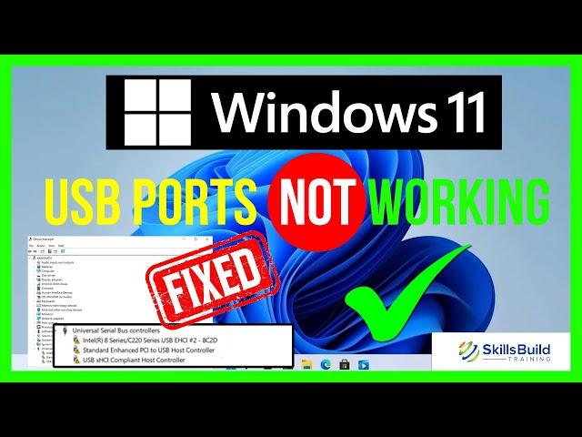 How to Fix USB Ports Not Working in Windows 11 [FAST]