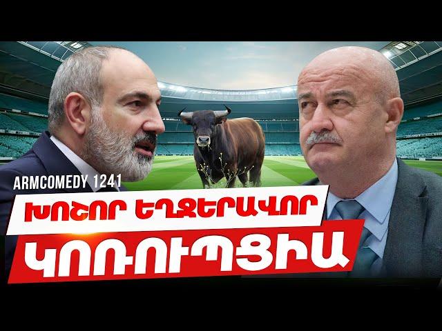 ArmComedy 1241 - Խոշոր եղջերավոր կոռուպցիա