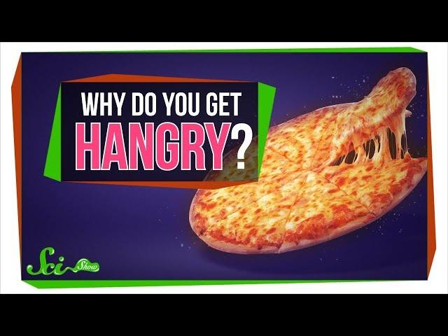 Why Do You Get Hangry?