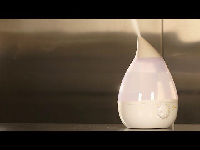 Humidifier Buying Guide (Interactive Video) | Consumer Reports