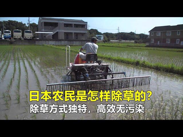 日本农民是怎样除草的？除草方式独特，高效无污染，令人赞叹！