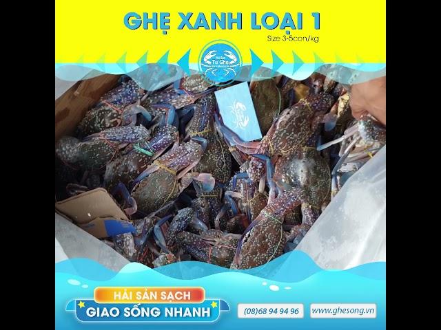 GHẸ XANH SỐNG LOẠI 1- HẢI SẢN TƯ GHẸ