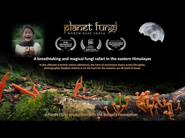 Planet Fungi safari in remote northeast India