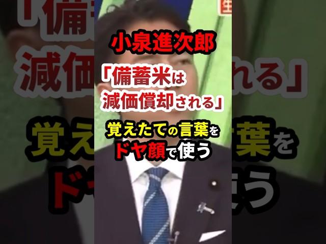 ㊗️40万再生！小泉進次郎「備蓄米はなんと減価償却されるんです」#政治 #shorts