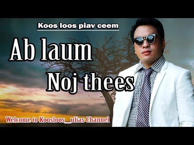 Dab neeg. Ab laum noj thee 6/5/2017