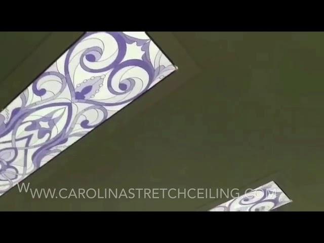 Looking for Ceiling Ideas - Backlite Printed Stretch Ceiling in USA only by Carolina Stretch Ceiling