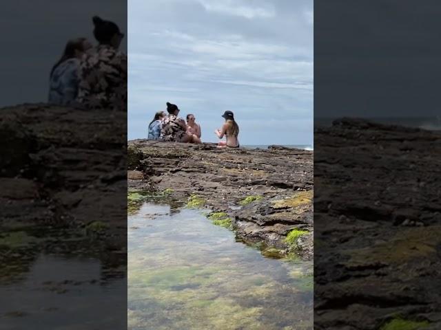 So peaceful women with furious ocean waves!!! #shorts #chojus #beach #sydney