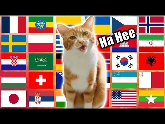 "Ha Hee" in 70 Languages Meme