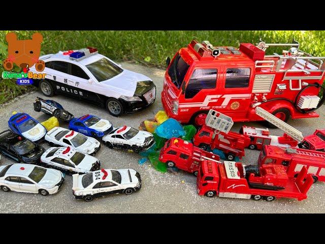 Police Car VS Fire Truck! Let's Find Diecast Cars 【Kuma's Bear Kids】