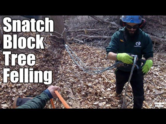 Snatch Block Tree Felling: Piggyback Mechanical Advantage