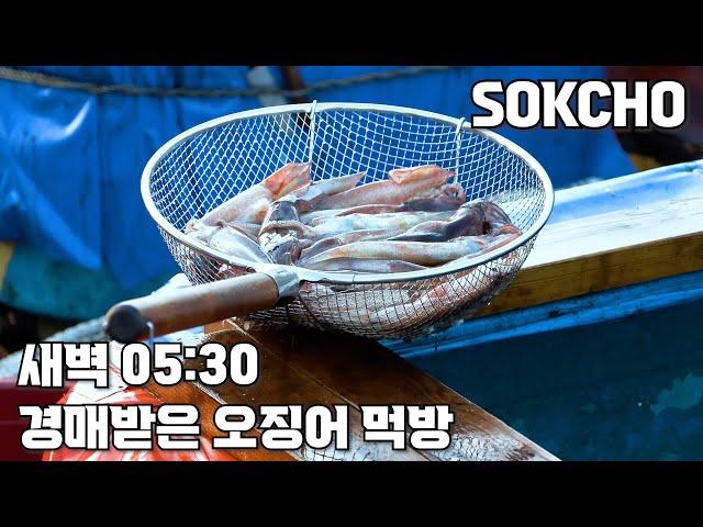 속초새벽 경매받은 싱싱한 오징어로 카페에서 먹방을 하다니... 이런 me친#속초#속초맛집#속초여행